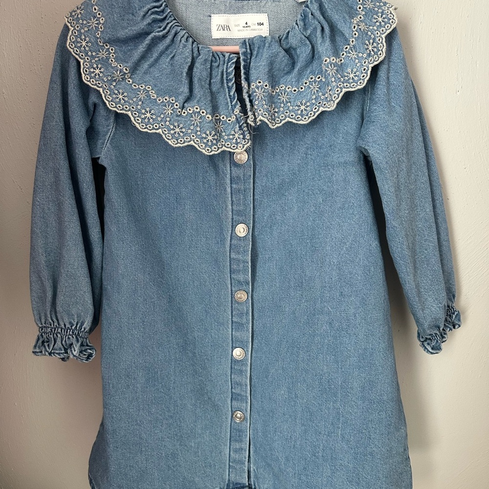 Zara Denim Dress with Embroidered Collar